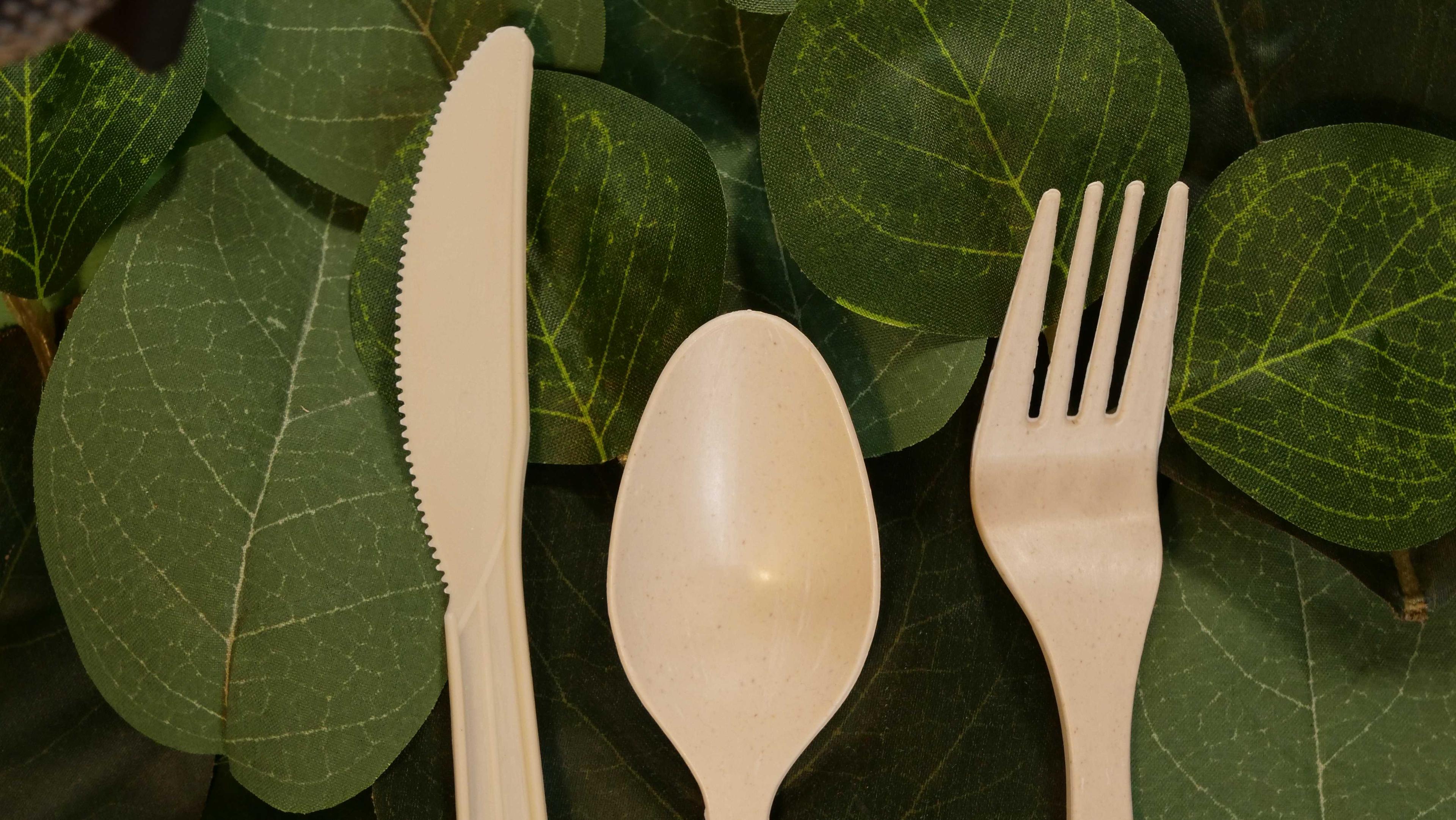 Cornstarch Cutlery Image